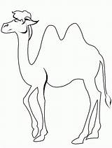 Camel Coloringtop sketch template