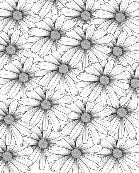 daisy flower coloring pages printable