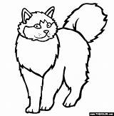 Ragdoll Kucing Mewarnai Cats Breed Thecolor Kolorowanki Domowe Zwierzeta Sketsa Terbaru Diposting sketch template