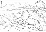 Narnia Aslan Coloriage Cronicas Pintar Colorier Leon Chronicles sketch template