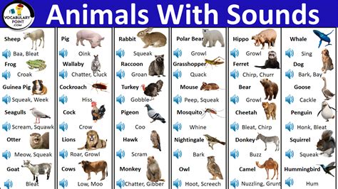 animals  sounds  animal sounds list vocabulary point