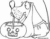 Dessin Citrouille Coloriage Os Halloweeny Avec Dynia Imprimer Dzieci Piesek Wydrukuj Colorier Mamydzieci Domu Słodycze sketch template