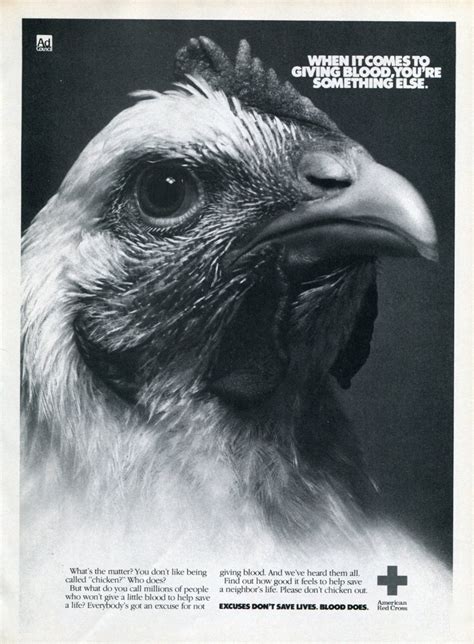 american red cross ad council  chicken give blood  ad magazine ad advertisement