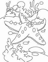 Starfish Coloring Pages Bahamas Kids Color Outline Fish Star Rest Print Getdrawings Popular sketch template
