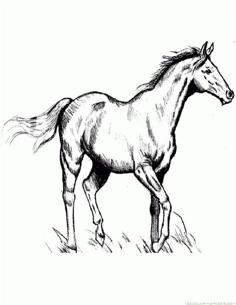 horse coloring pages part