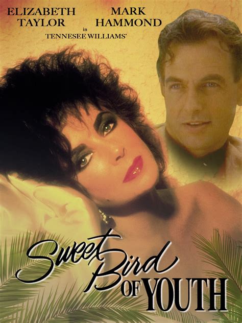 Watch Sweet Bird Of Youth On Amazon Prime Instant Video Uk