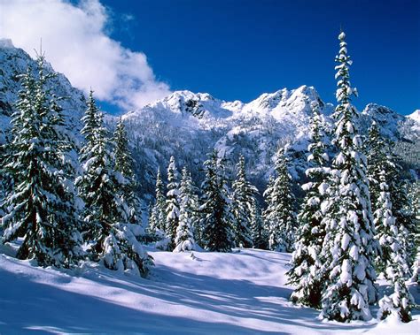 escenas hermosas del invierno  beauty  winter fotos  imagenes en fotoblog