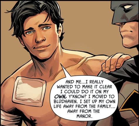 Dick Grayson Richard Grayson Nightwing Batgirl Catwoman Comic Book
