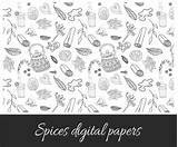 Spices Digital sketch template