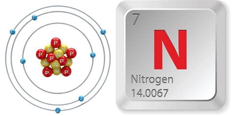 facts  nitrogen  science