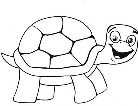 turtle printable coloring etsy printable coloring coloring pages