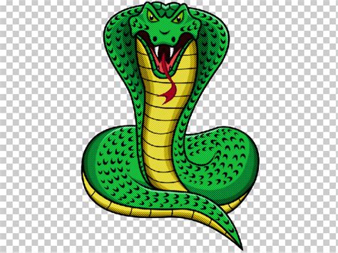 green king cobra serpent snake elapidae png clipart elapidae green