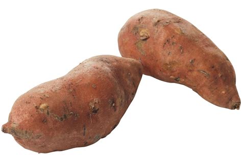 zoete aardappels verpakt kg stuk  van gelder aardappelen van gelder groente