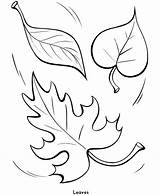 Leaf Large Template Coloring Printable Pages Popular sketch template