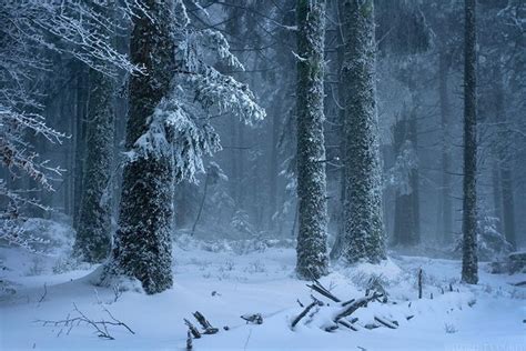 snow aesthetic tumblr paesaggi fotografia della natura natura