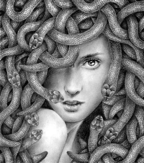 18 Best Medusa Images On Pinterest Greek Mythology