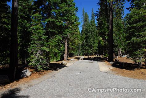 lodgepole tahoe campsite  camping info reservations