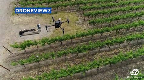 video droneview captures drone flying  wine country  napa abc san francisco