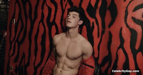 shawn mendes nude leaked pictures and videos celebritygay