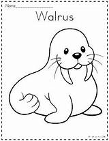 Arctic Coloring Animals Pages Kids Subject sketch template