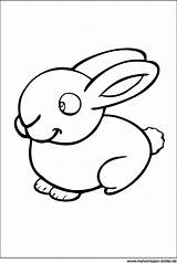 Kaninchen Ausmalen Haustiere Malvorlage Ausmalbild Nachmalen Hasen Bildkarten Haustieren Datei Zeichnen X13 sketch template
