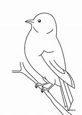 Bird Coloring Oiseau Coloriage Imprimer Pages Drawings Quilt Applique Patterns Dessin Colorier Animal Dessins Birdhouse Sur Oiseaux Outline Farm Des sketch template
