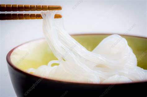 Konjac Noodles Stock Image C035 3474 Science Photo Library