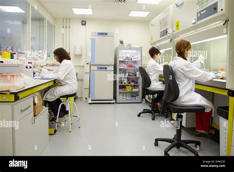 cell culture room cleanroom bioengineering  microbiology stock