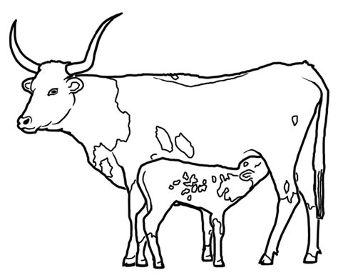 farm animal cattle  coloring sheet