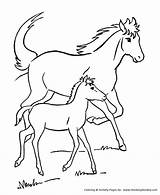 Coloring Pages Farm Horse Animal Printable Animals Honkingdonkey Kids Horses Xxx sketch template
