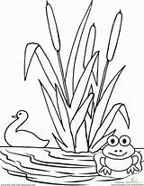 Pond Coloring Drawing Pages Kids Color Clipart Printable Worksheet Life Frog Worksheets Preschool Education Activities Getcolorings Getdrawings Scene Read Colouring sketch template