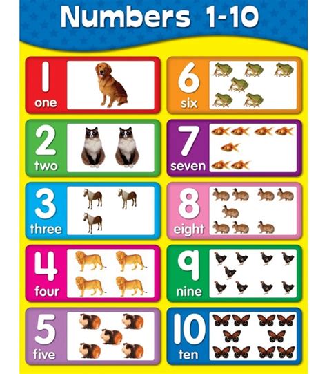 numbers   chart poster bell  bell