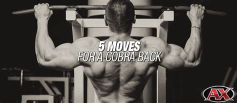 moves   cobra  workout moving fitness