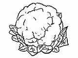 Cauliflower Chou Coliflor Sayur Mewarna Sayuran Vegetable Coliflores Kubis sketch template