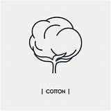 Icona Cotone Profilo Raccolta Sottile Agricoltura Etichetta Cot Appende Gancio sketch template