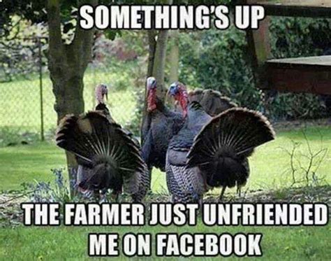 25 hilarious thanksgiving memes that will make you giggle