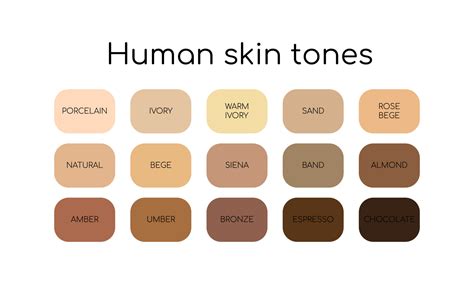 skin tones palette    types human skin flat icon set