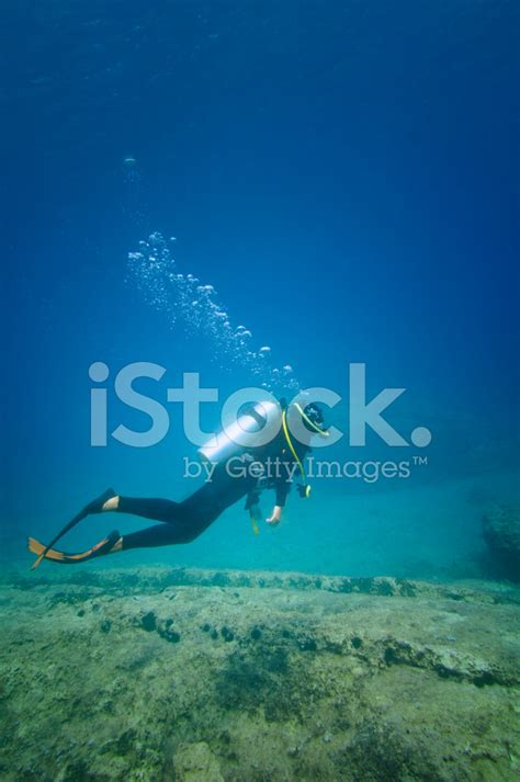 scuba diver swimming stock photo royalty  freeimages