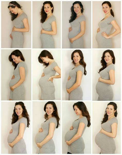 pin de johana herrera en embarazo con imágenes seguimiento de embarazo