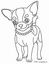 Chihuahua Imprimir Línea sketch template