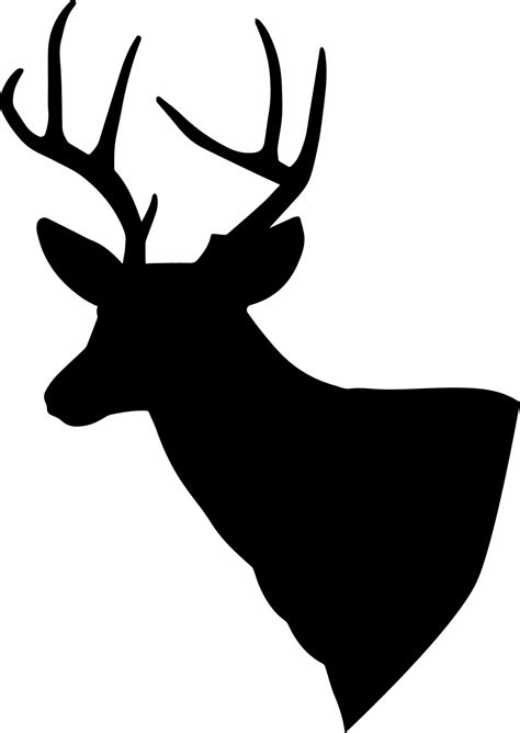 deer silhouette  stock photo public domain pictures