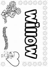 Willow Willows sketch template