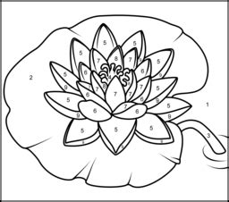 water lily printable color  number page water lily drawing lilies