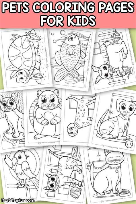 pets coloring pages  kids preschool coloring pages pets preschool