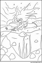Delfin Meerjungfrau Malvorlage Ausmalbilder Unterwasserwelt Malvorlagen Im Ausmalbild Ausdrucken Datei sketch template