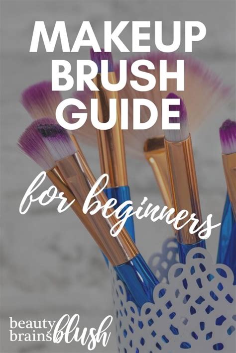 ultimate makeup brush guide for beginners beautybrainsblush