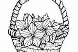 Flowers Basket Coloring Pages Lovely sketch template