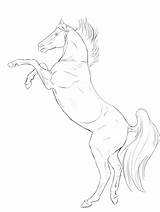 Rearing Lineart Gaited Plans sketch template