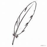 Feather Plume Dessiner Plumes Pluma Plumas Wikihow Colorear Oiseau Crayon Aves Dollz Heirs sketch template