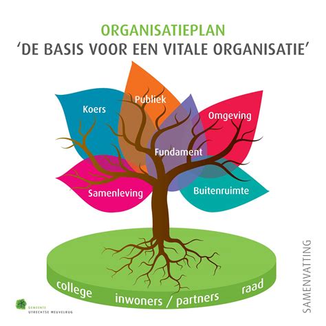 samenvatting organisatieplan